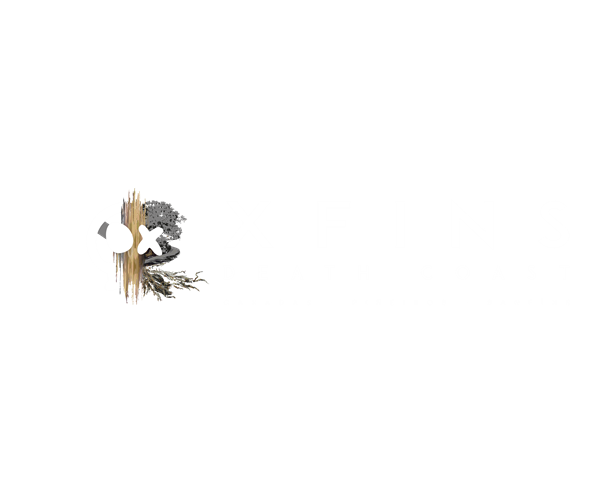 Sxfins 2026 logo